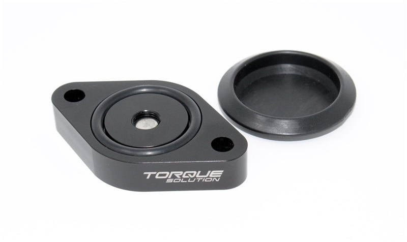 Torque Solution Sound Symposer Delete 2013+ Ford Focus ST-Air Intake Components-Grocery Getter Performance