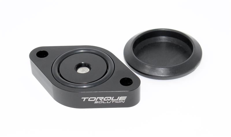 Torque Solution Sound Symposer Delete 2013+ Ford Focus ST-Air Intake Components-Grocery Getter Performance
