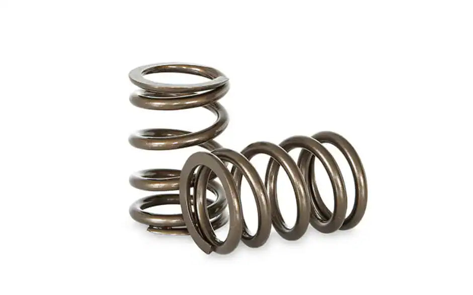 Toyota 86 4U-GSE / Subaru FA20 Valve Spring Set