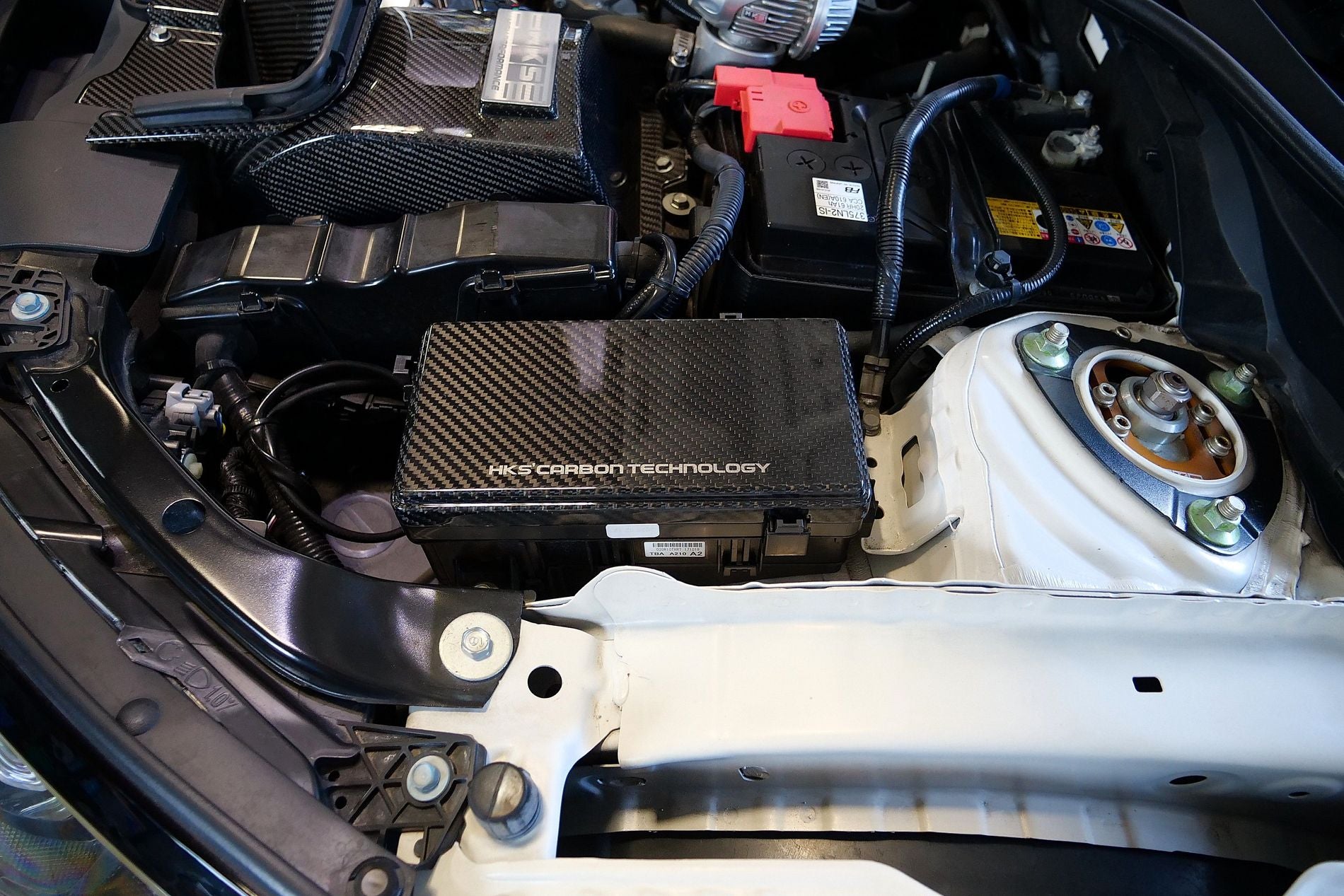 CARBON FUSE BOX COVER FK8