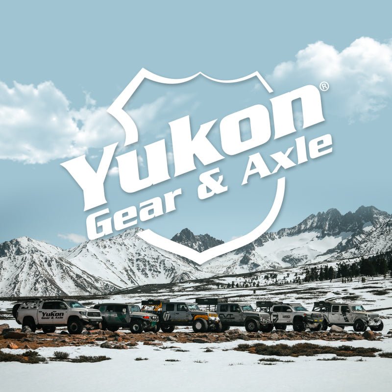 Yukon Gear Standard Open Spider Gear Kit For 9in Ford w/ 31 Spline Axles and 2-Pinion Design - Grocery Getter Performance