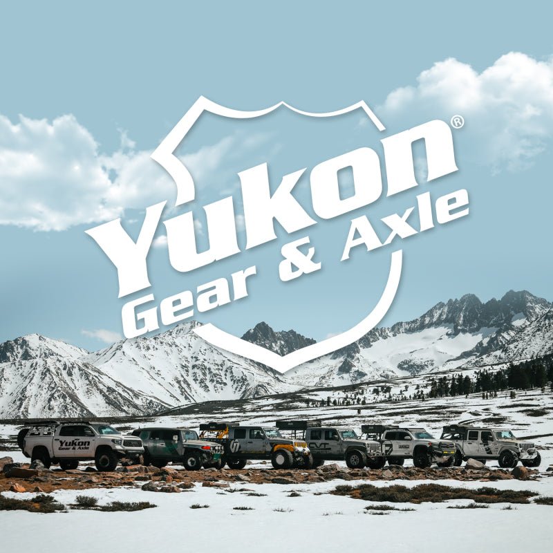 Yukon Gear Standard Open Spider Gear Kit For 9in Ford w/ 31 Spline Axles and 2-Pinion Design - Grocery Getter Performance